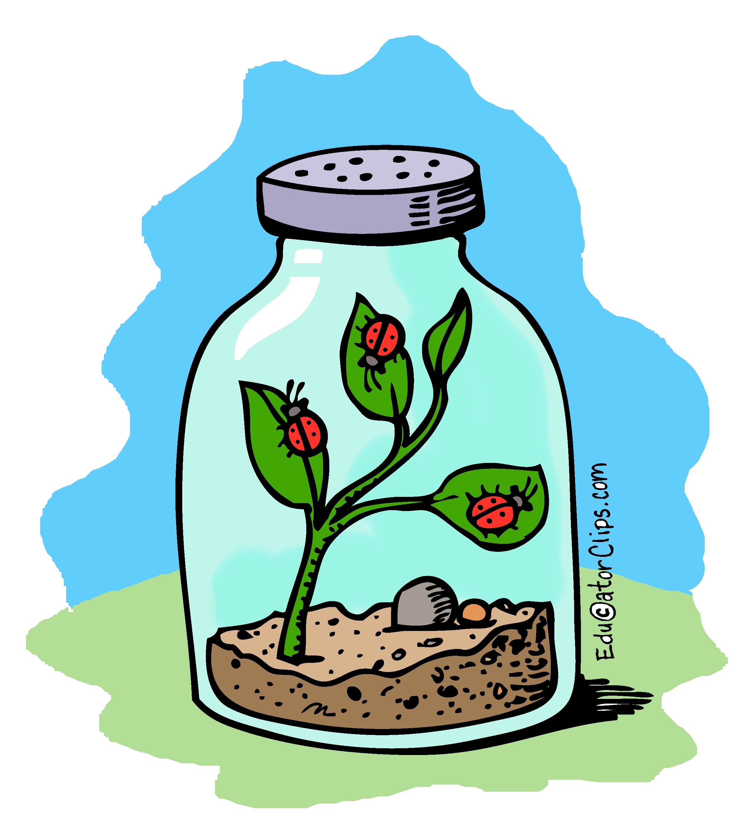 nature jar